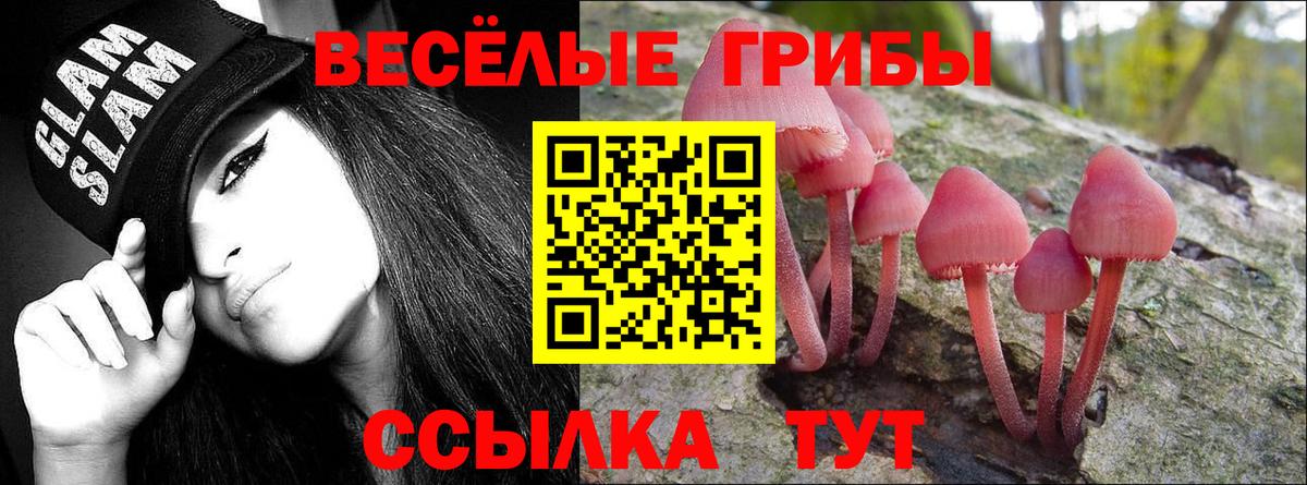Псилоцибиновые грибы прущие грибы Конаково