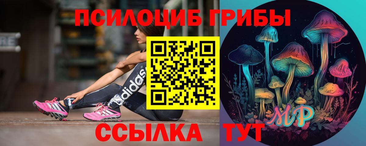 Псилоцибиновые грибы Psilocybine cubensis  Псилоцибиновые грибы ЛСД  Конаково  Вход с VPN 